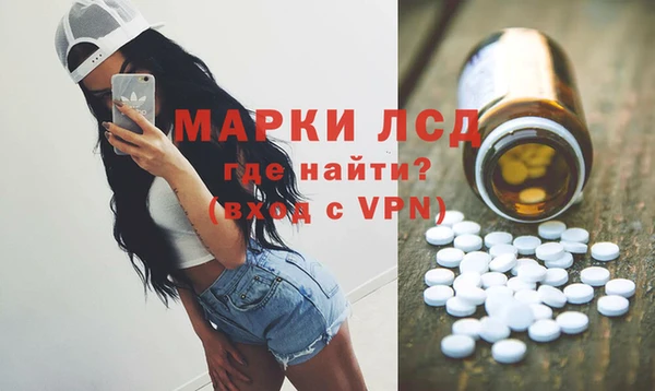 трава Белокуриха