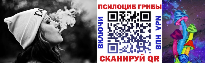 Купить закладки  Еманжелинск  Псилоцибиновые грибы Cubensis 